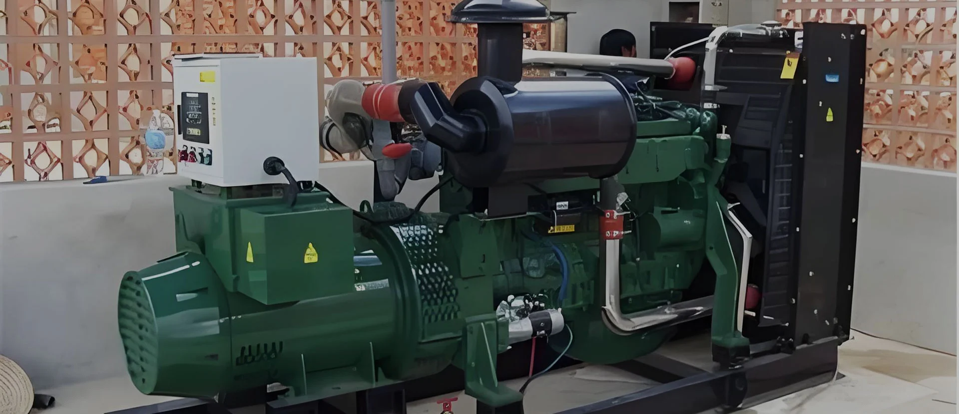 Produttore del generatore di biogas
