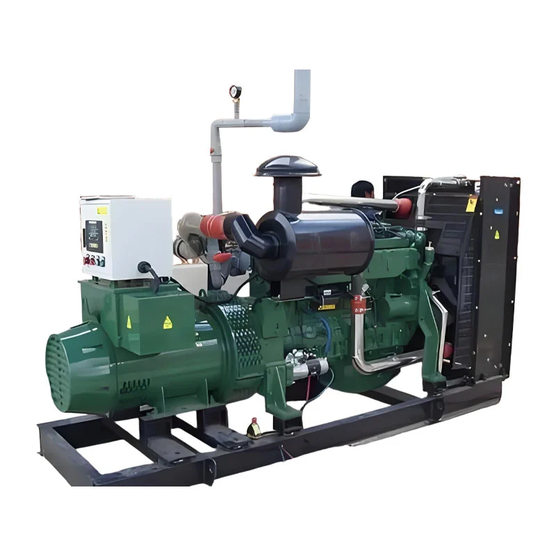 Generatore di biogas da 600kW